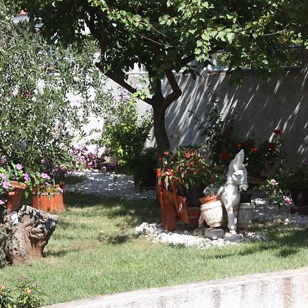 Family Apartment Mirela Borik زادار المظهر الخارجي الصورة