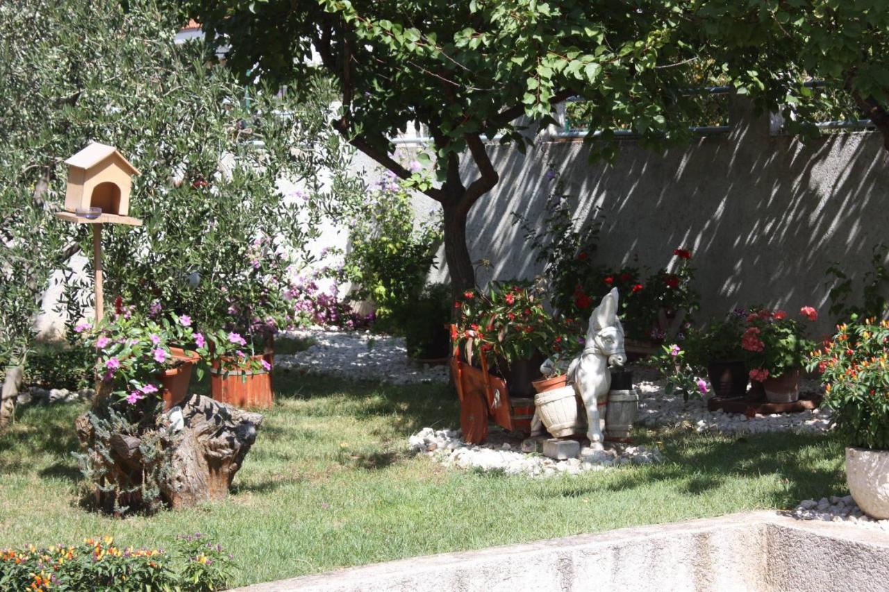 Family Apartment Mirela Borik زادار المظهر الخارجي الصورة